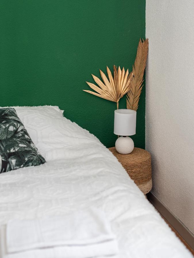 Bel Appartement Renove Grenoble Exteriör bild